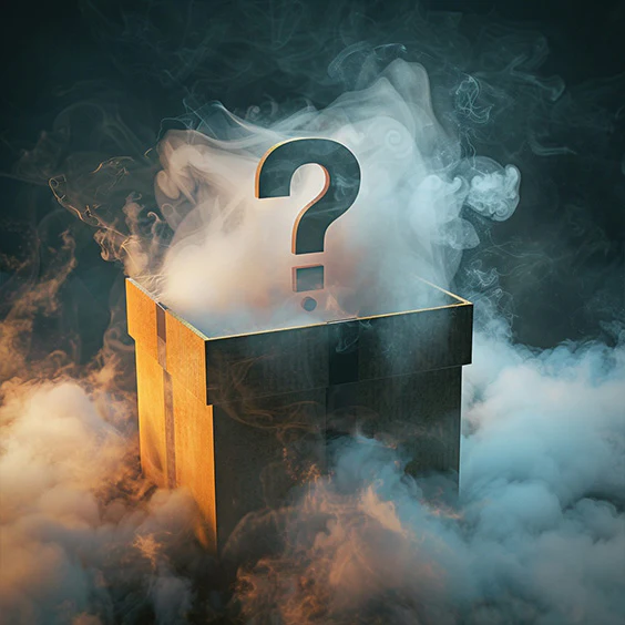 BONUS- $9.99 Mystery Underwear Item - Image 3