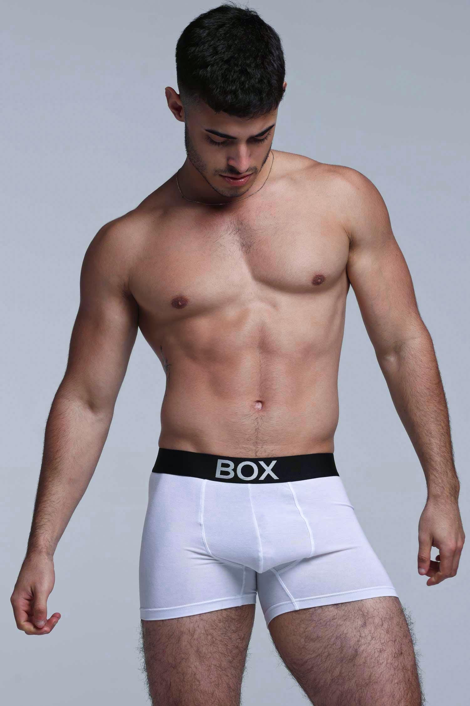 Metallic Modal Boxers - White & Silver - Image 5