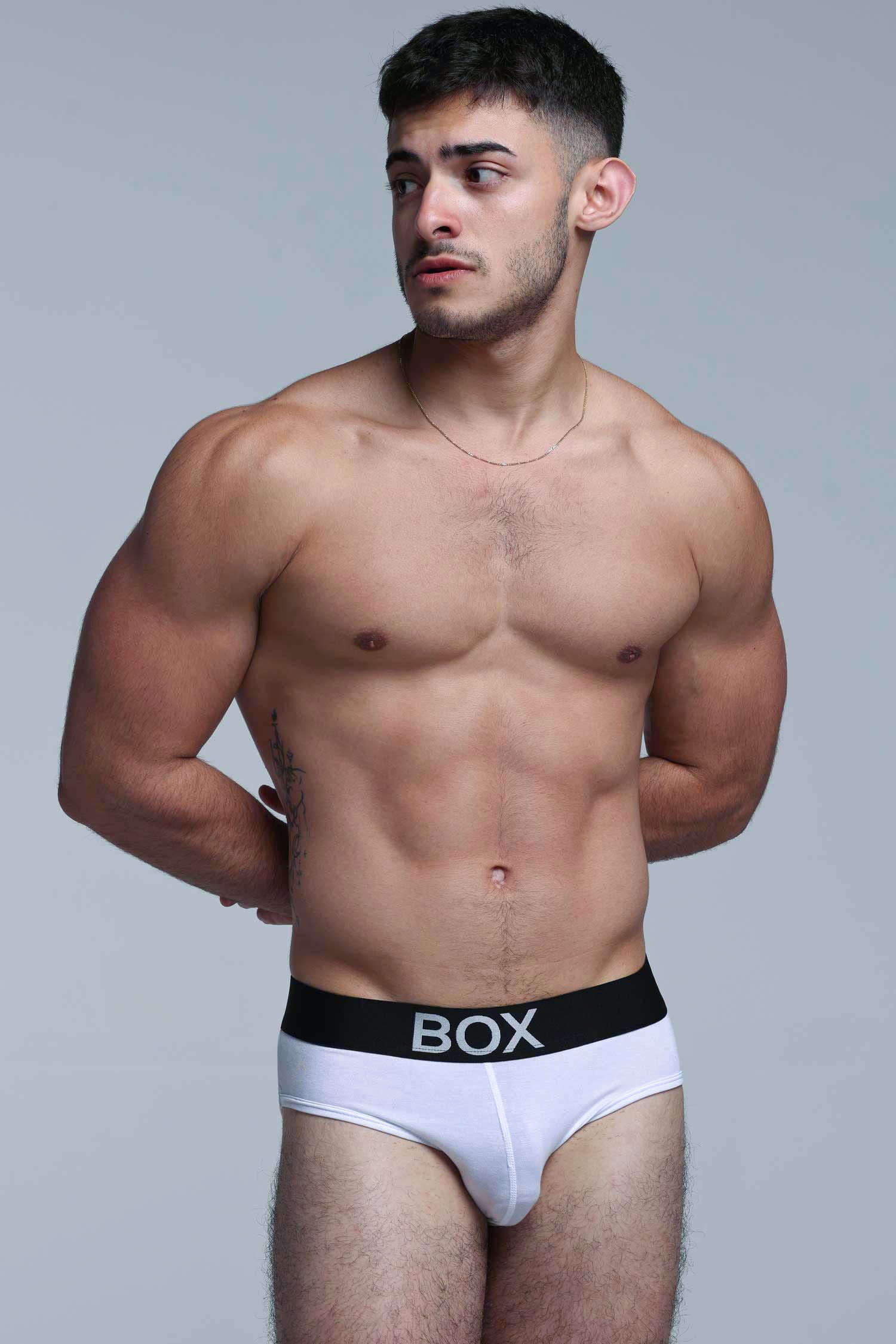 Metallic Modal Briefs - White & Silver - Image 4
